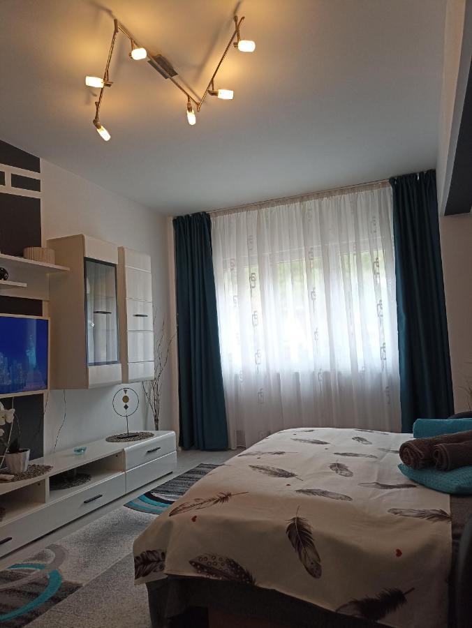 Apartament Sofy2 Бэиле-Еркулане Экстерьер фото