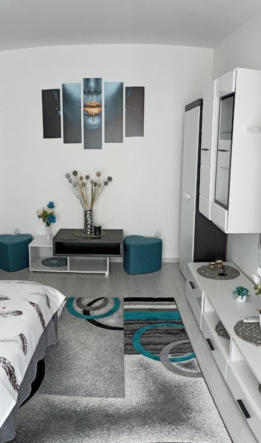 Apartament Sofy2 Бэиле-Еркулане Экстерьер фото