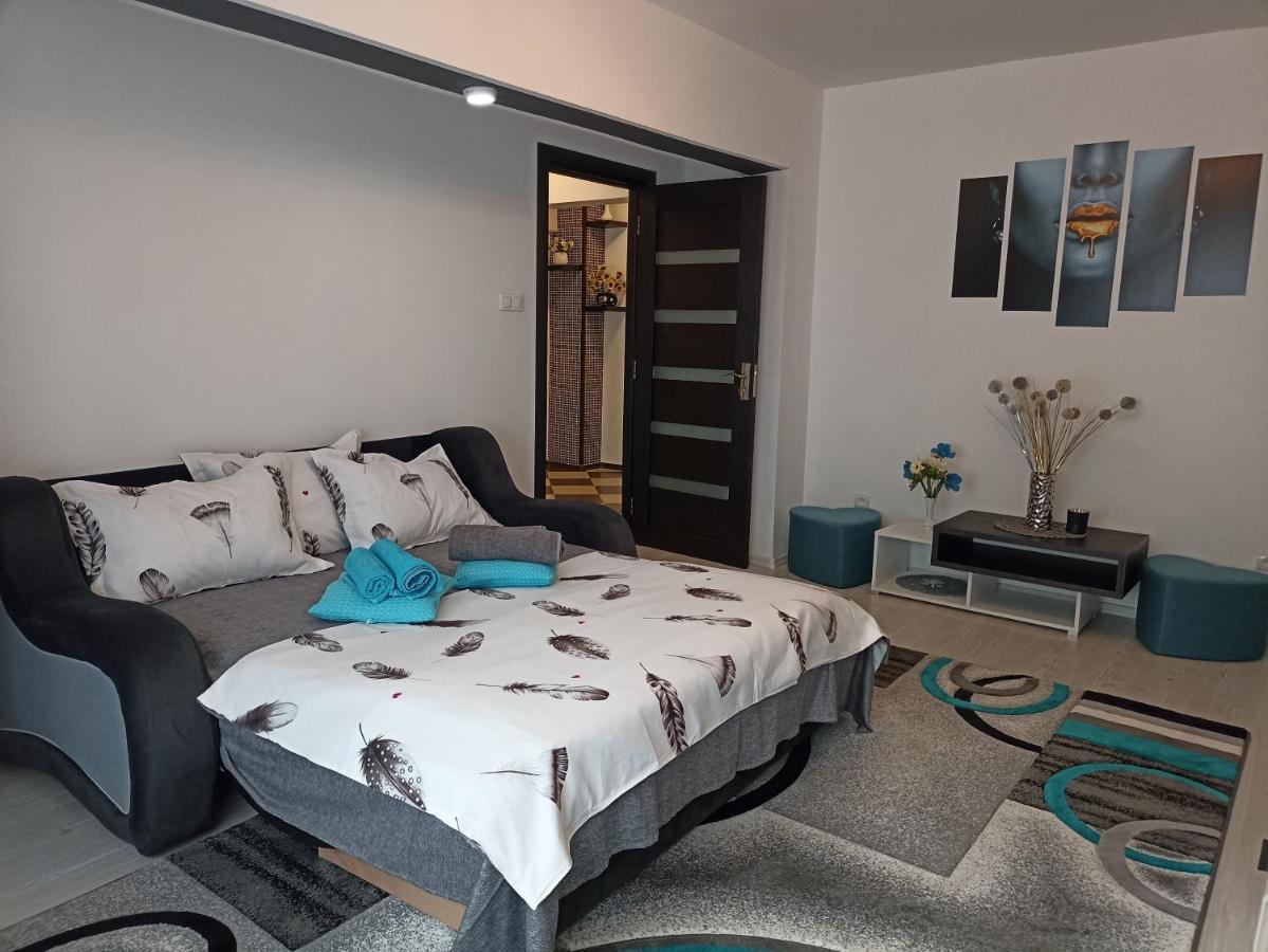 Apartament Sofy2 Бэиле-Еркулане Экстерьер фото